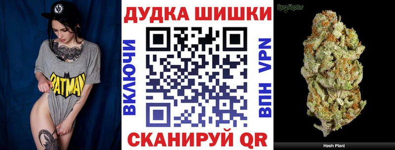 Как найти закладки Новосиль КОКАИН  СК  Псилоцибиновые грибы  Меф мяу мяу  МАРИХУАНА 