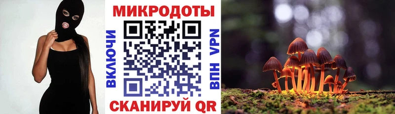 Галлюциногенные грибы ЛСД  Новосиль 